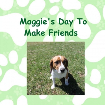 Maggie's Day To Make Friends