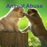 Help Resolve Animal Abuse