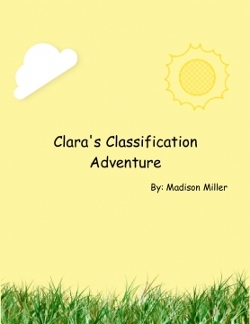 Clara's Classification Adventure