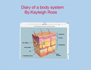 Diary of a body system