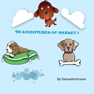 The adventures of Marley 1