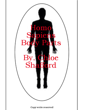Homo Sapien Body Parts