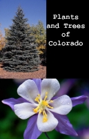 Plants and Trees of Colorado