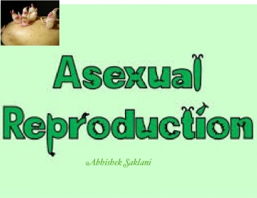 Asexual Reproduction in plants