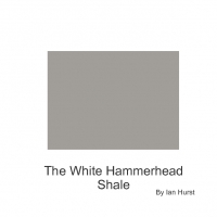 White Hammerhead Shalk