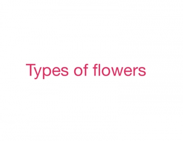 Types of flowers