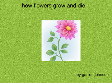 how flowers grow and die