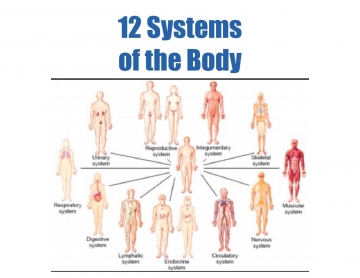 12 Systems of the Body