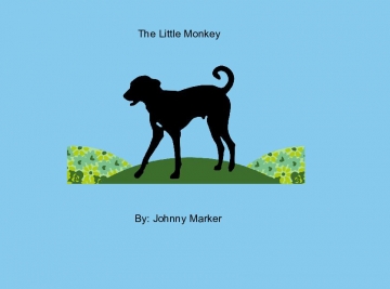 The Little Monkey