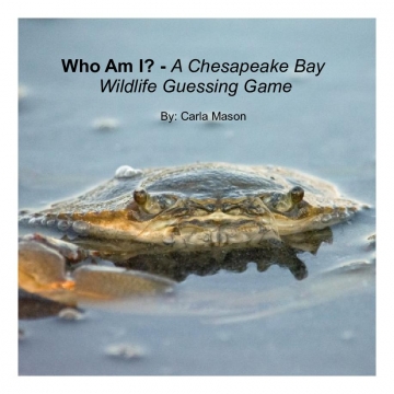 Who Am I? A Chesapeake Bay Wildlife Guessing Game