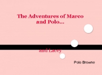 The adventures of Marco and Polo
