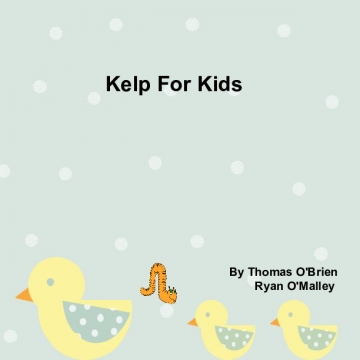 Kelp For Kids