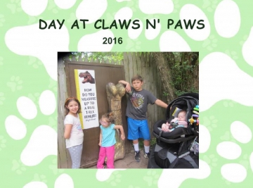 Day at Claws and Paws