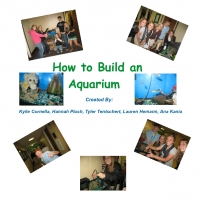 How to Build an Aquarium