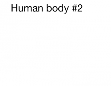 Human body #2