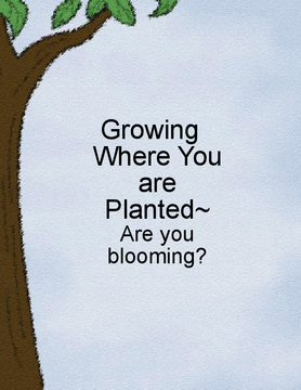 Growing Where You are Planted