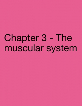 The adventures of the body system