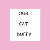 Our Cat Duffy
