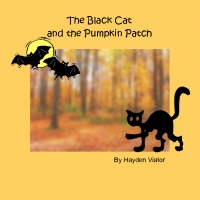 The Black Cat in the Pumpkin Patch