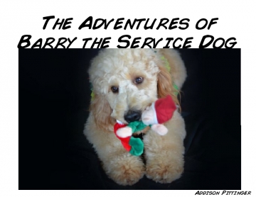 Adventures of Barry the Service Dog