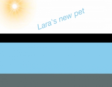 Lara's new pet