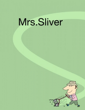 Mrs.Silver