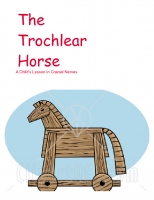 The Trochlear Horse- Cranial Nerves