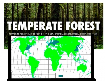 Biomes temperate forest