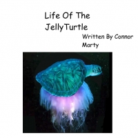 life of the jellyturtle