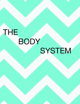 The Body System