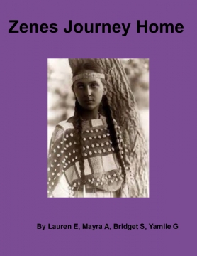 Zenes Journey Home