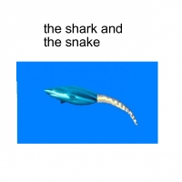 shark and sea snake