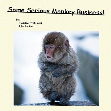 Some Serious Monkey Business