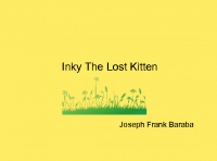Inky The Lost Kitten