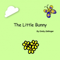 The Little Bunny