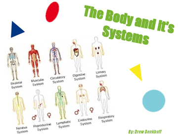 The Body and it's Systems