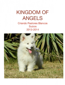 Kingdom of Angels