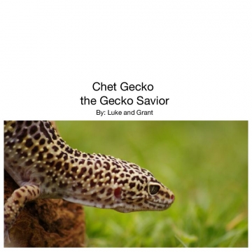 Chet geckos adventure