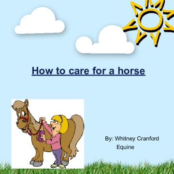 How to care for a horse