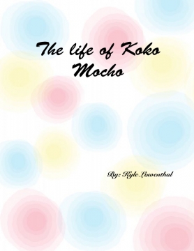 The Life of Koko Mocho