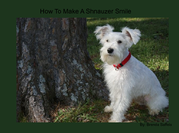 How To Make A Shnauzer Smile