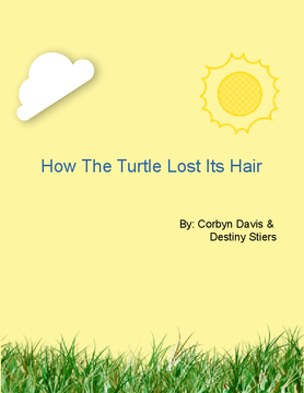 How The Turtle Lost Its Hair