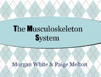 The Musculoskeleton System