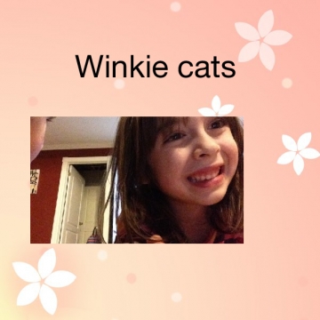 Winkie cats