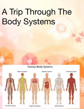 A trip to the body Systems