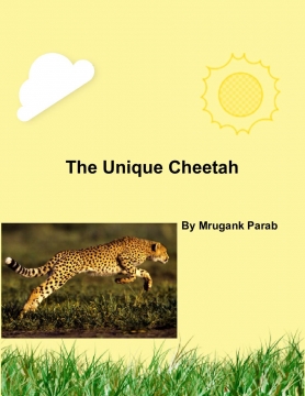 The Unique Cheetah