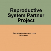 Reproductive System Partner Project