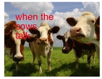 when the cows talk