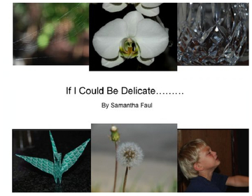 If I Could Be Delicate