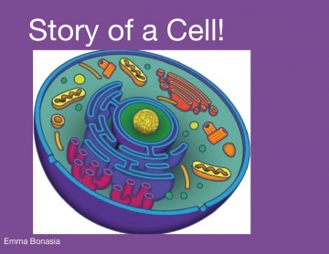Story of Cells